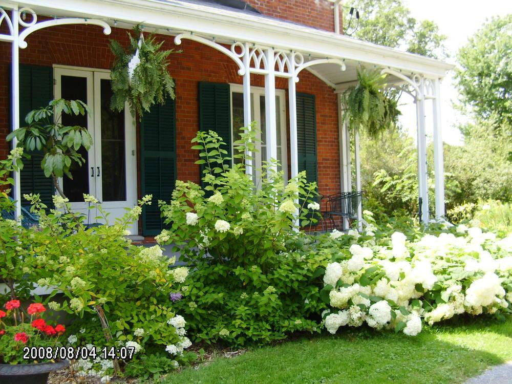 Mackechnie House Bed and Breakfast Cobourg Exteriör bild